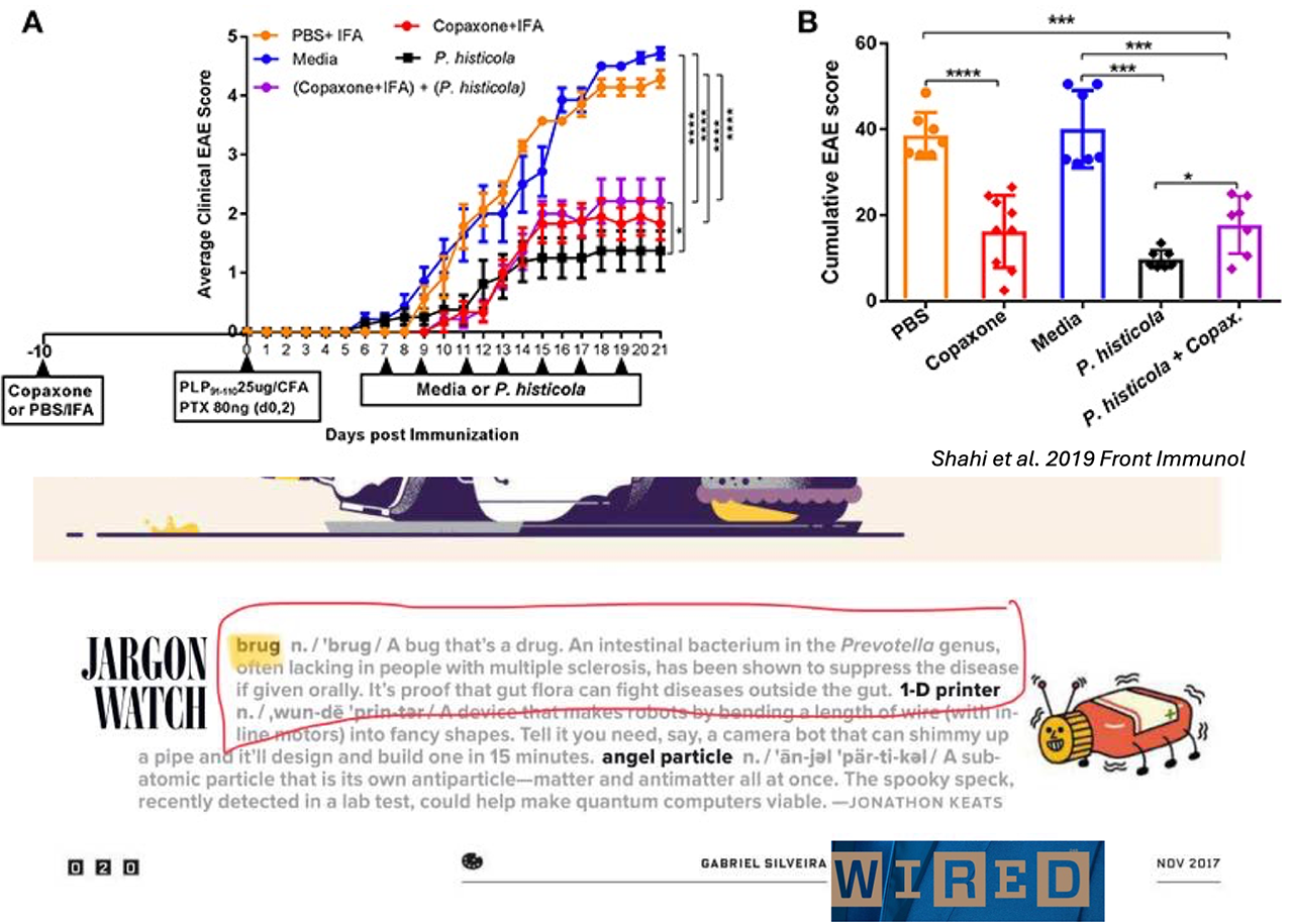 Collage showing average clinical EAE score chart, Cumulative EAE score chart, and an exerpt from WIRED magazine showing the definition of Brugs, learn more below
