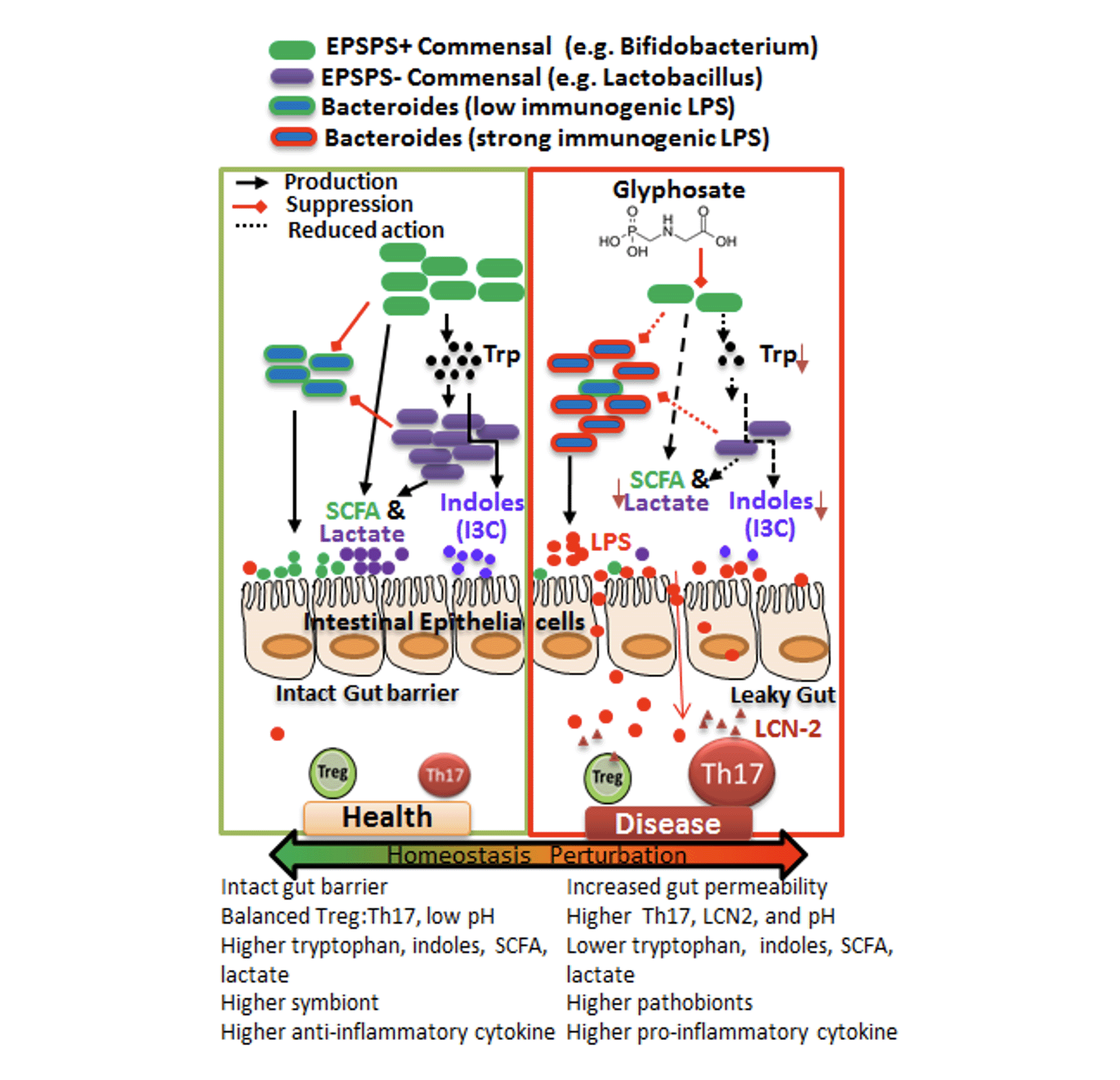Environmental Exposure Diagrams