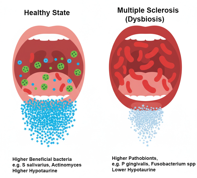 An illustration of oral microbiome